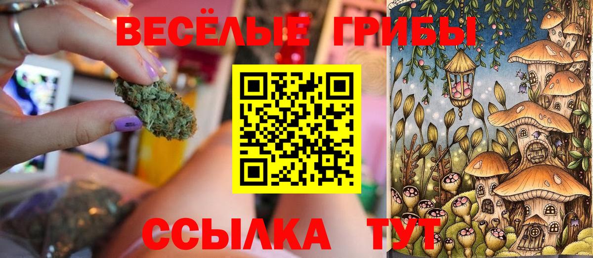Галлюциногенные грибы Psilocybine cubensis Аша